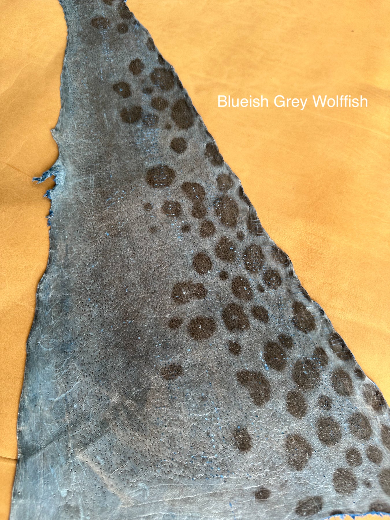 wolfish skin