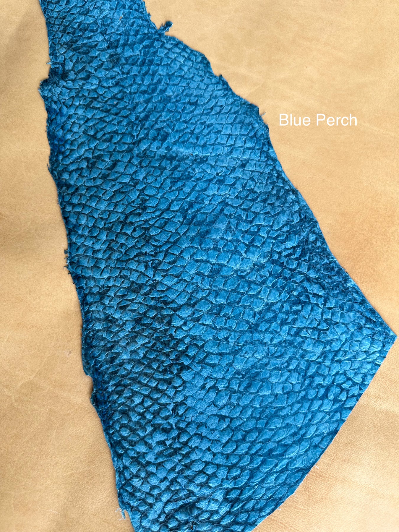 blue perch skin for clutch